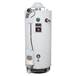 Bradford White - D80T5053X - Liquid Propane Water Heaters