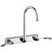 Chicago Faucets - W8W-GN2AE1-317ABCP - Deck Mount Laundry Sink Faucets
