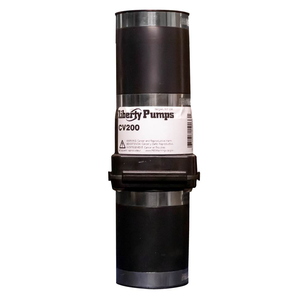 Liberty Pumps  Pumps item CV2N1