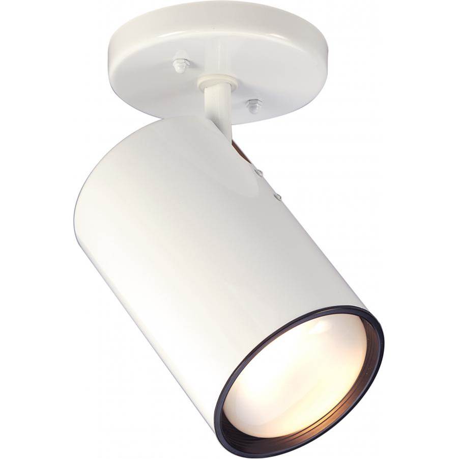 Nuvo Flush Ceiling Lights item SF76/418