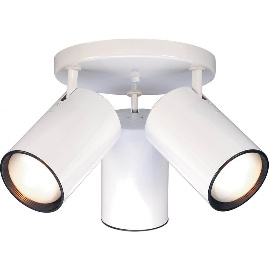Nuvo Flush Ceiling Lights item SF76/422